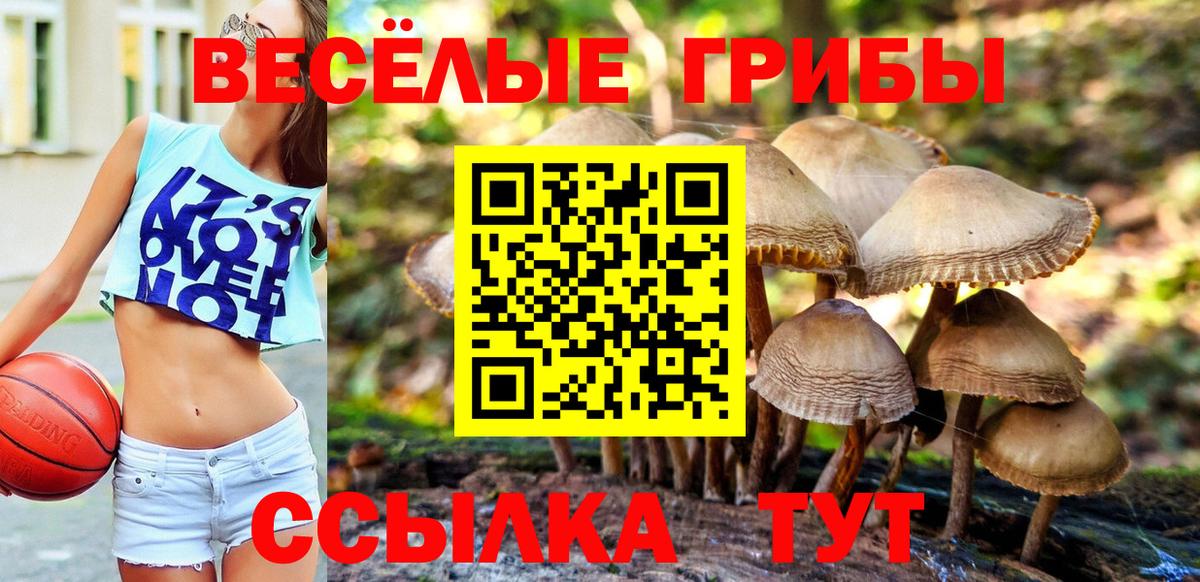 Шебекино  Галлюциногенные грибы ЛСД  Вход с VPN  Галлюциногенные грибы мухоморы 